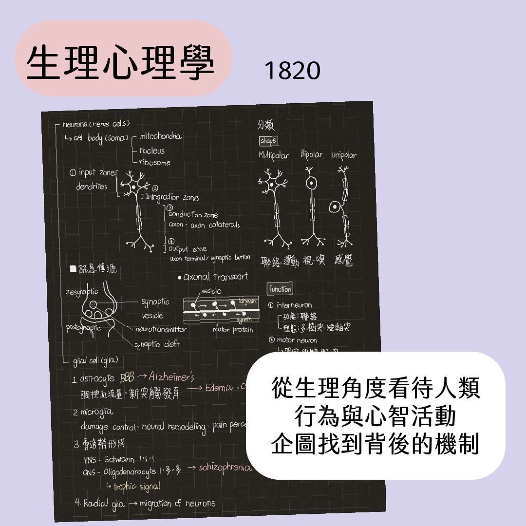心理系要讀多少書-Z世代校園攻略 心理系要讀多少書-Z世代校園攻略