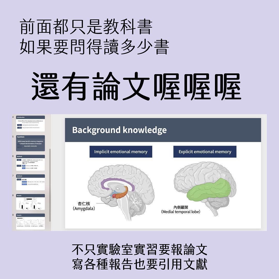 心理系要讀多少書-Z世代校園攻略 心理系要讀多少書-Z世代校園攻略