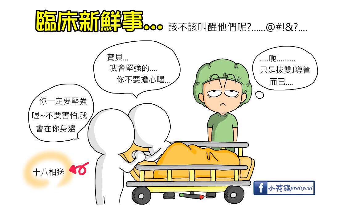 臨床新鮮事 の 十八相送...-小花貓prettycat