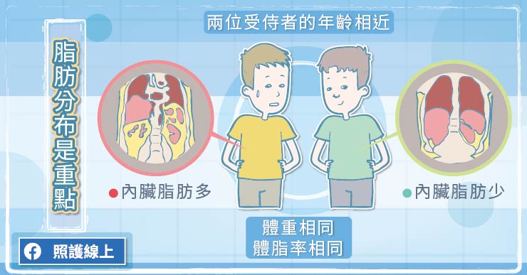 外表騙人，內臟脂肪過多的「偷肥族」-BMI值