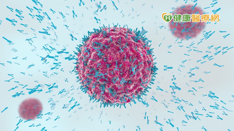 染疫後有抗體不一定有免疫力？ 感染症專家不認同-WHO世界衛生組織