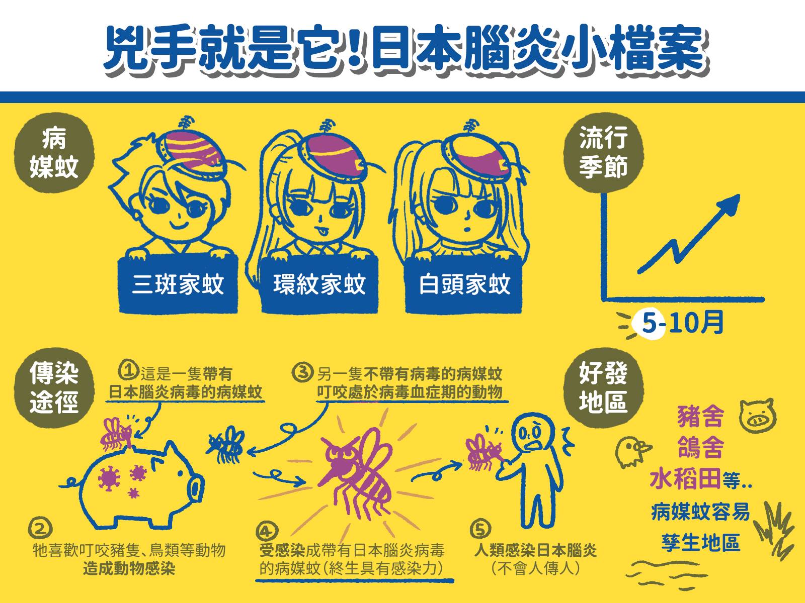 國內日本腦炎流行，一週增加5例！染病後婦人「認不得家人」-日本腦炎