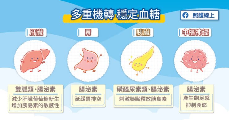 糖尿病經常「無症狀」！甜害侵犯全身器官，年過45人人都該測血糖