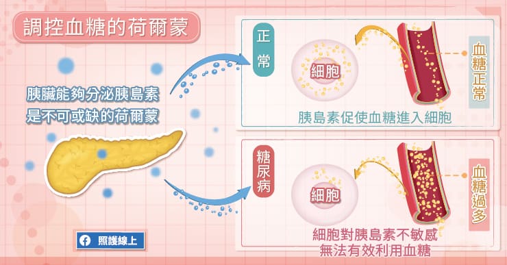 【名醫專訪】血糖超標就是糖尿病？打胰島素會洗腎？把握治療時機，血糖才有機會逆轉勝-田凱仁醫師