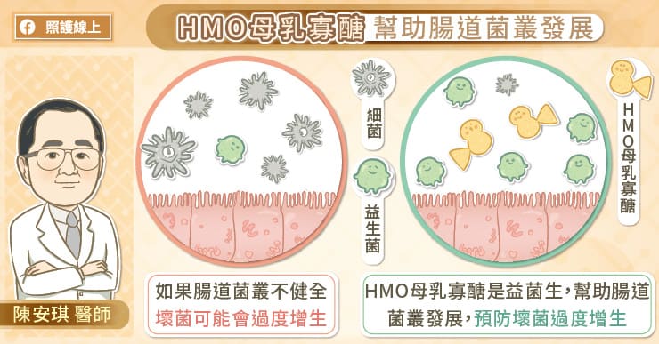 寶寶免疫力這樣養！營養新知：HMO母乳寡醣、核苷酸-中國醫藥大學兒童醫院