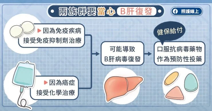 兩族群B肝患者當心免疫下降、病毒量升高！醫師圖文解說-B型肝炎