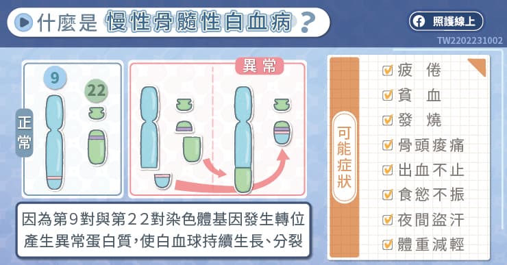 什麼是慢性骨髓性白血病？