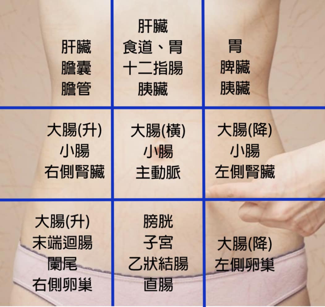 常常胃痛，到底怎麼了？專科醫教你簡單分辨「胃炎、胃潰瘍、胃食道逆流」-十二指腸潰瘍