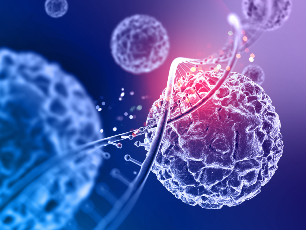 癌症新發現 癌細胞並非長生不老-染色體