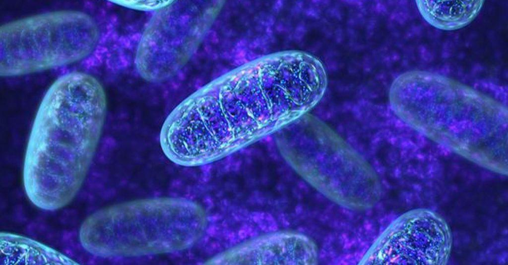 減肥新希望！科學家發現華人擁有「預防肥胖」的強力基因-M7b1a1