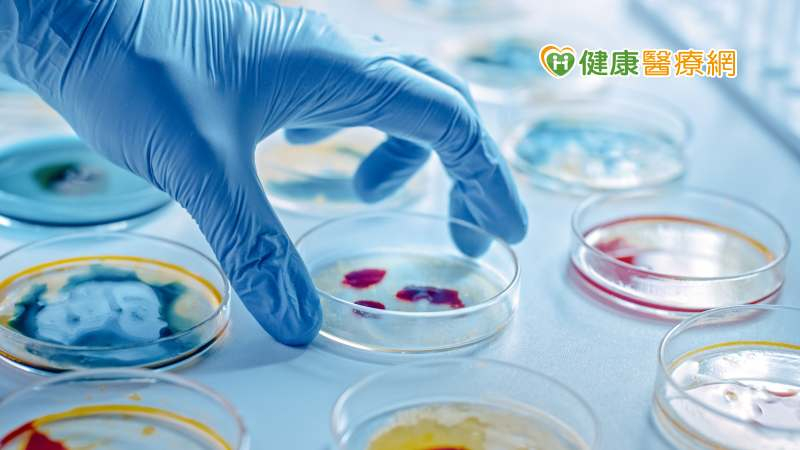 中國發現新病毒HKU5！ 可感染人類細胞會大流行嗎？疾管署：還需3特性-COVID-19