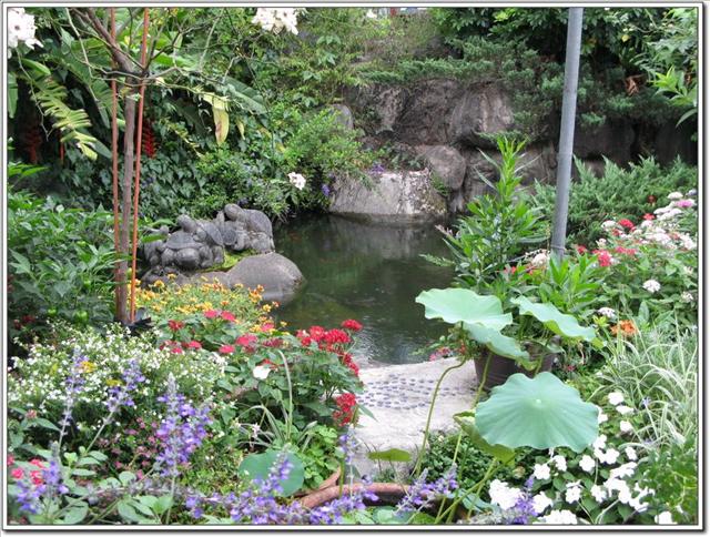 高雄六龜.悠遊山城樹玫瑰庭園-悠遊山城樹玫瑰庭園美食 高雄六龜.悠遊山城樹玫瑰庭園-悠遊山城樹玫瑰庭園美食