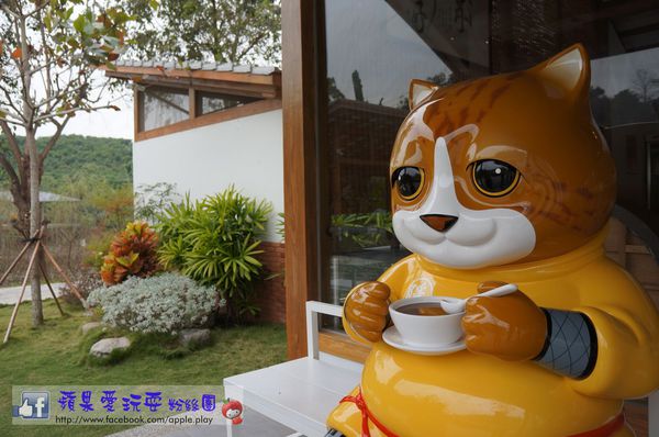 台南玉井‧來跟大喵喝杯茶唄~「白色教堂之歲月靜好」-歲月靜好