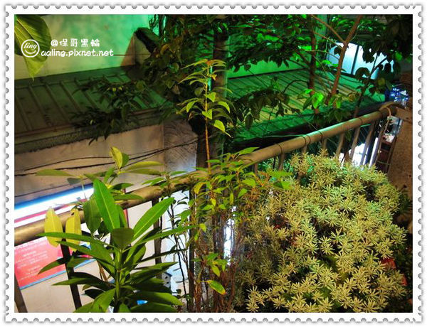 台南中西區．保哥黑輪~炒泡麵-保哥黑輪