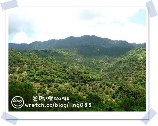 台南東山．瑪哩咖啡-瑪哩咖啡