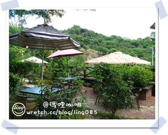 台南東山．瑪哩咖啡-瑪哩咖啡