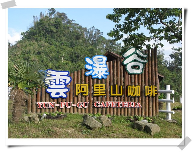 嘉義番路．雲瀑谷咖啡-雲瀑谷咖啡
