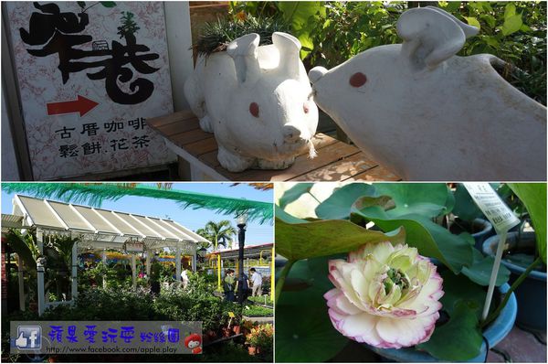 彰化田尾‧藏匿在花園裡的古厝咖啡廳~「窄巷」-窄巷咖啡 彰化田尾‧藏匿在花園裡的古厝咖啡廳~「窄巷」-窄巷咖啡