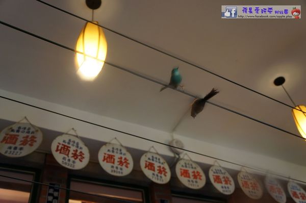 彰化福興‧懷舊餐廳「童年往事莊園民宿」-童年往事莊園民宿
