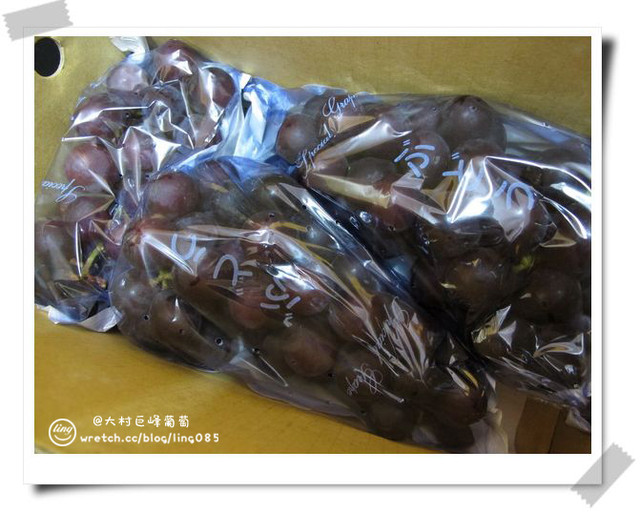 彰化員林.大村巨峰葡萄-大村巨峰葡萄 彰化員林.大村巨峰葡萄-大村巨峰葡萄