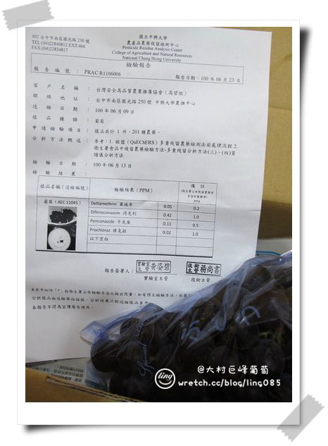 彰化員林.大村巨峰葡萄-大村巨峰葡萄 彰化員林.大村巨峰葡萄-大村巨峰葡萄