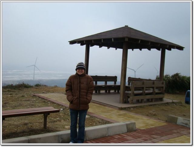 苗栗後龍．好望角蕃薯園-好望角蕃薯園