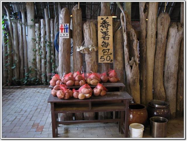 苗栗後龍．好望角蕃薯園-好望角蕃薯園