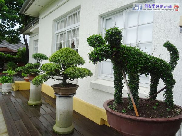 屏東市‧將軍之屋「遇見綠洲」~好吃的蜜糖土司-遇見綠洲庭園咖啡館