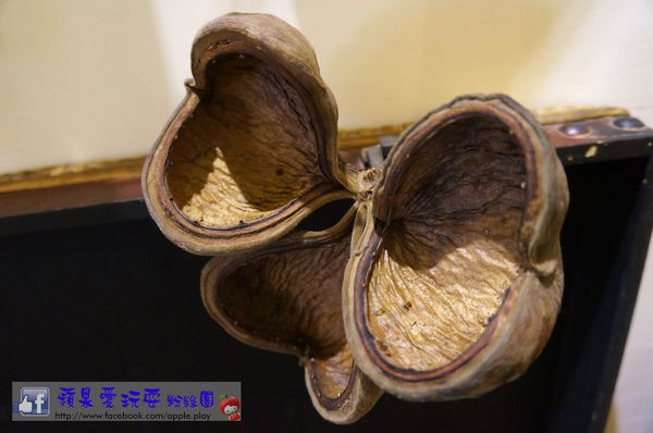 高雄鼓山‧充滿鄉村風格的小店~「依貝拉」-依貝拉 高雄鼓山‧充滿鄉村風格的小店~「依貝拉」-依貝拉