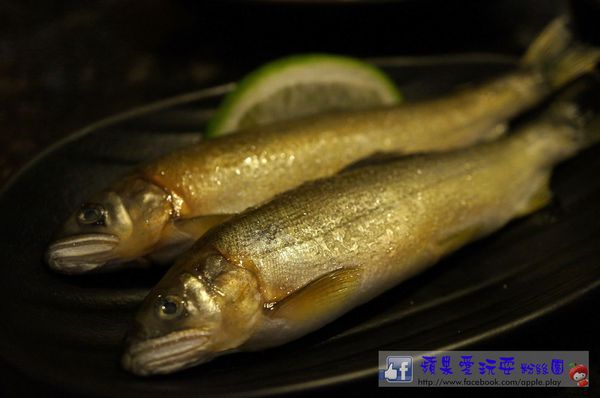高雄鼓山‧美味鮮嫰的燒烤~「七輪燒肉本舖（巨蛋店）」（口碑券019）-七輪燒肉本舖