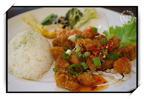 高雄苓雅‧Mona's Cafe 寵物咖啡館-Mona's Cafe