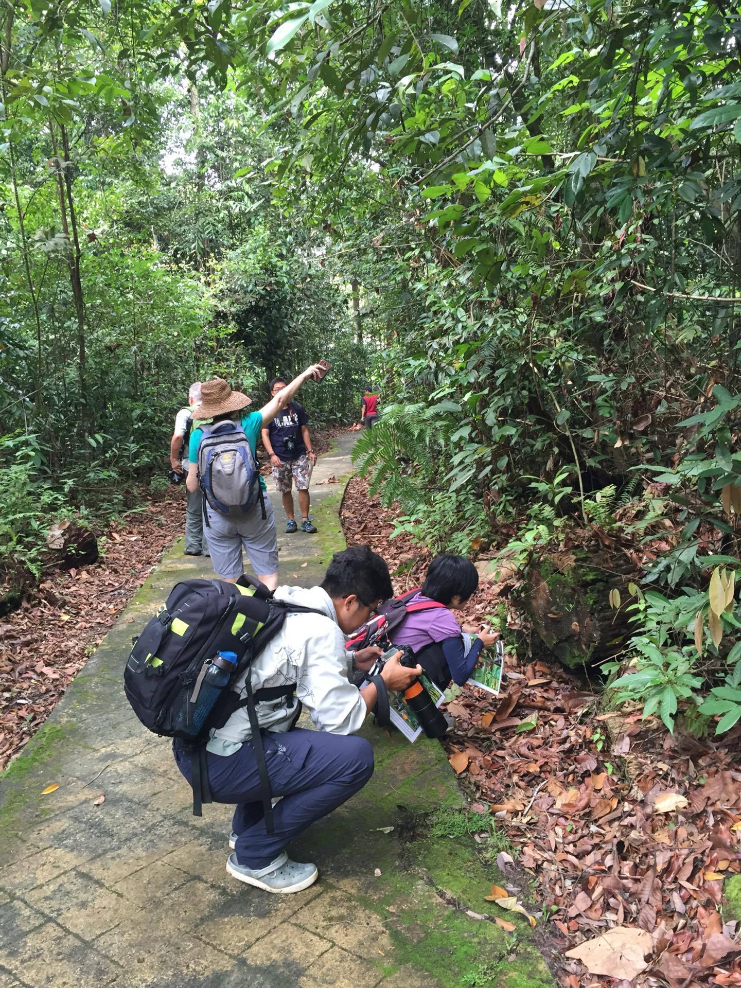 馬來西亞雨林實習　大葉大學生資系學生分享海外經驗-大葉大學