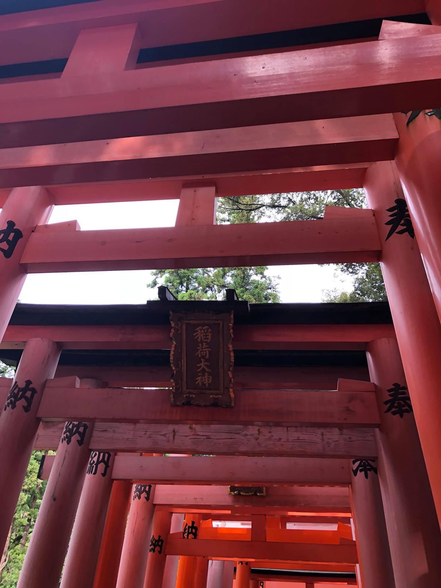 日本關西回憶錄 | 京都伏見稻禾神社 🎌🎌🎌⛩️⛩️⛩️-千鳥居 日本關西回憶錄 | 京都伏見稻禾神社 🎌🎌🎌⛩️⛩️⛩️-千鳥居