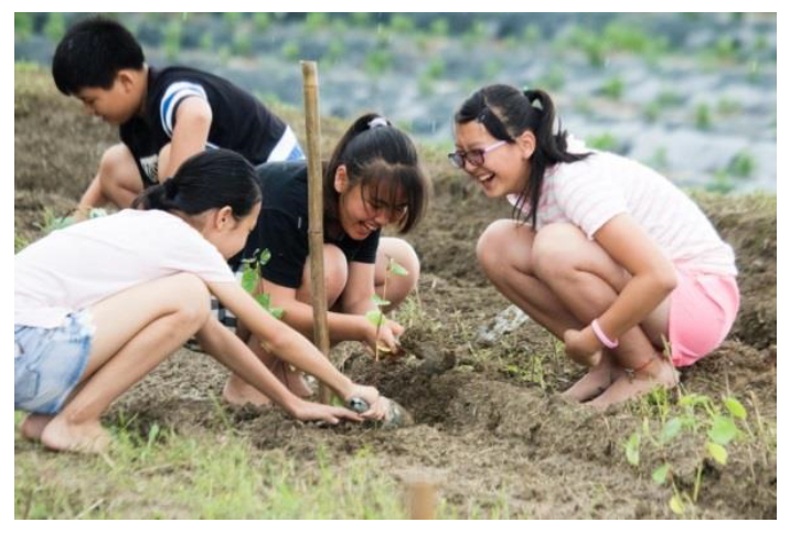 贊助農業與體育活動 京元電子投入社會公益-CSR