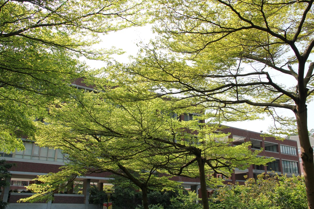 綠色校園、綠色教育、綠色思維 大葉大學世界綠色大學評比全台私校第一-2015世界綠色大學評比