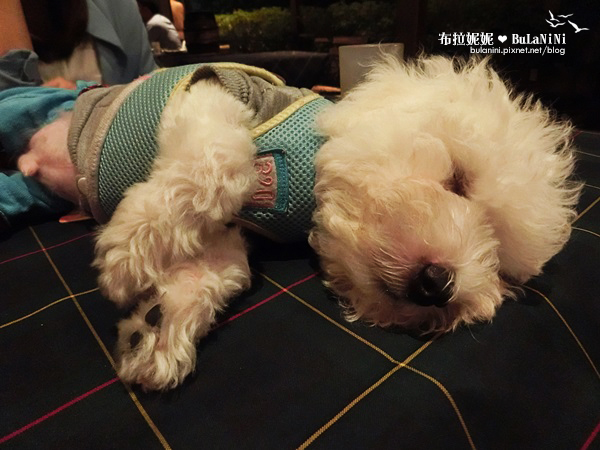  【台中美食餐廳】金色三麥-台中市政店@萬聖節氣氛！與好友的週六夜晚-台中
