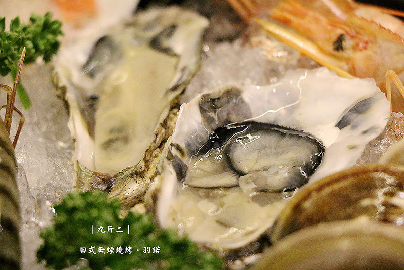  【羽諾食記】『九斤二日式無煙燒肉』鍋物燒烤兩吃❤捷運南京三民站燒烤吃到飽