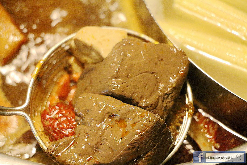 【羽諾食記】京宴屋金門酒糟溫體牛肉涮涮鍋❤全台唯一溫體牛吃到飽❤捷運府中站溫體牛肉吃到飽涮涮鍋推薦