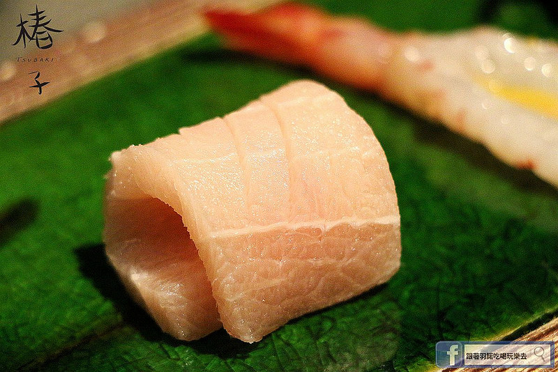【羽諾食記】椿子日式料亭❤安和路預約制日本料理❤新鮮頂級漁獲-無菜單創意料理❤捷運信義安和站美食