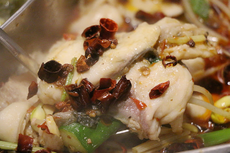 【羽諾食記】中國瘋實料火鍋店♥現撈活魚實料火鍋~重慶水煮魚&重慶酸菜魚鴛鴦鍋♥台北長安東路火鍋 【羽諾食記】中國瘋實料火鍋店♥現撈活魚實料火鍋~重慶水煮魚&重慶酸菜魚鴛鴦鍋♥台北長安東路火鍋