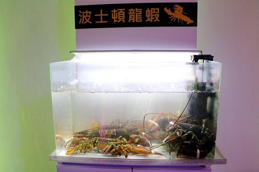【羽諾食記】Shabu Lounge 浪奇時尚鍋物♥波士頓活龍蝦海陸雙人饗宴套餐♥台北東區必吃宵夜美食 【羽諾食記】Shabu Lounge 浪奇時尚鍋物♥波士頓活龍蝦海陸雙人饗宴套餐♥台北東區必吃宵夜美食