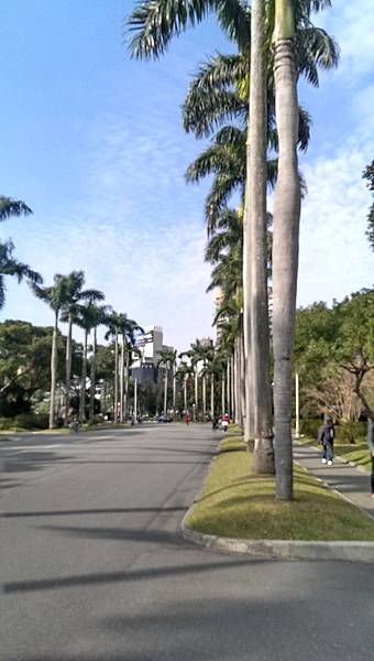 校園隨筆》畢業倒數│回顧台大校園景點|凌宣 | Jenny-台大小福 校園隨筆》畢業倒數│回顧台大校園景點|凌宣 | Jenny-台大小福