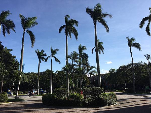 校園隨筆》畢業倒數│回顧台大校園景點|凌宣 | Jenny-台大小福 校園隨筆》畢業倒數│回顧台大校園景點|凌宣 | Jenny-台大小福
