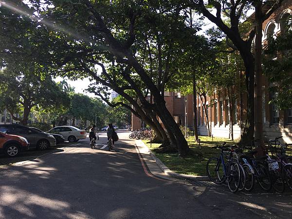 校園隨筆》畢業倒數│回顧台大校園景點|凌宣 | Jenny-台大小福 校園隨筆》畢業倒數│回顧台大校園景點|凌宣 | Jenny-台大小福