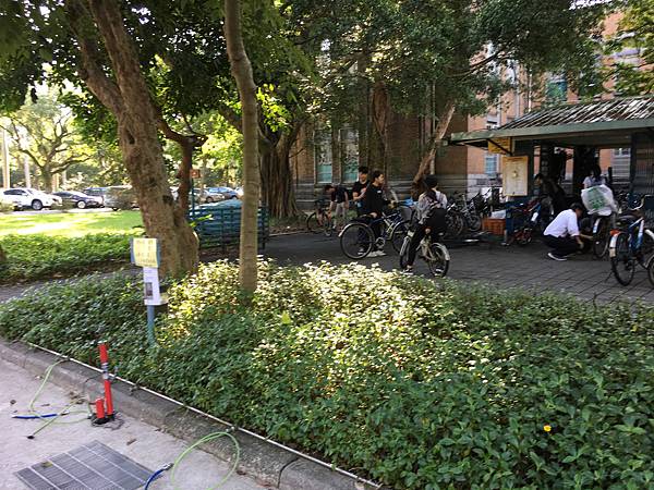 校園隨筆》畢業倒數│回顧台大校園景點|凌宣 | Jenny-台大小福 校園隨筆》畢業倒數│回顧台大校園景點|凌宣 | Jenny-台大小福