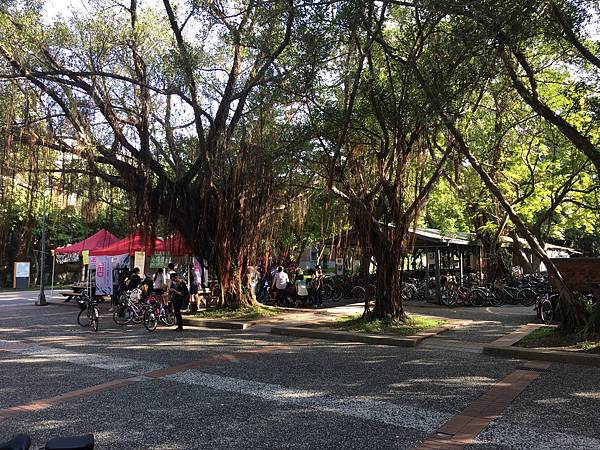 校園隨筆》畢業倒數│回顧台大校園景點|凌宣 | Jenny-台大小福 校園隨筆》畢業倒數│回顧台大校園景點|凌宣 | Jenny-台大小福