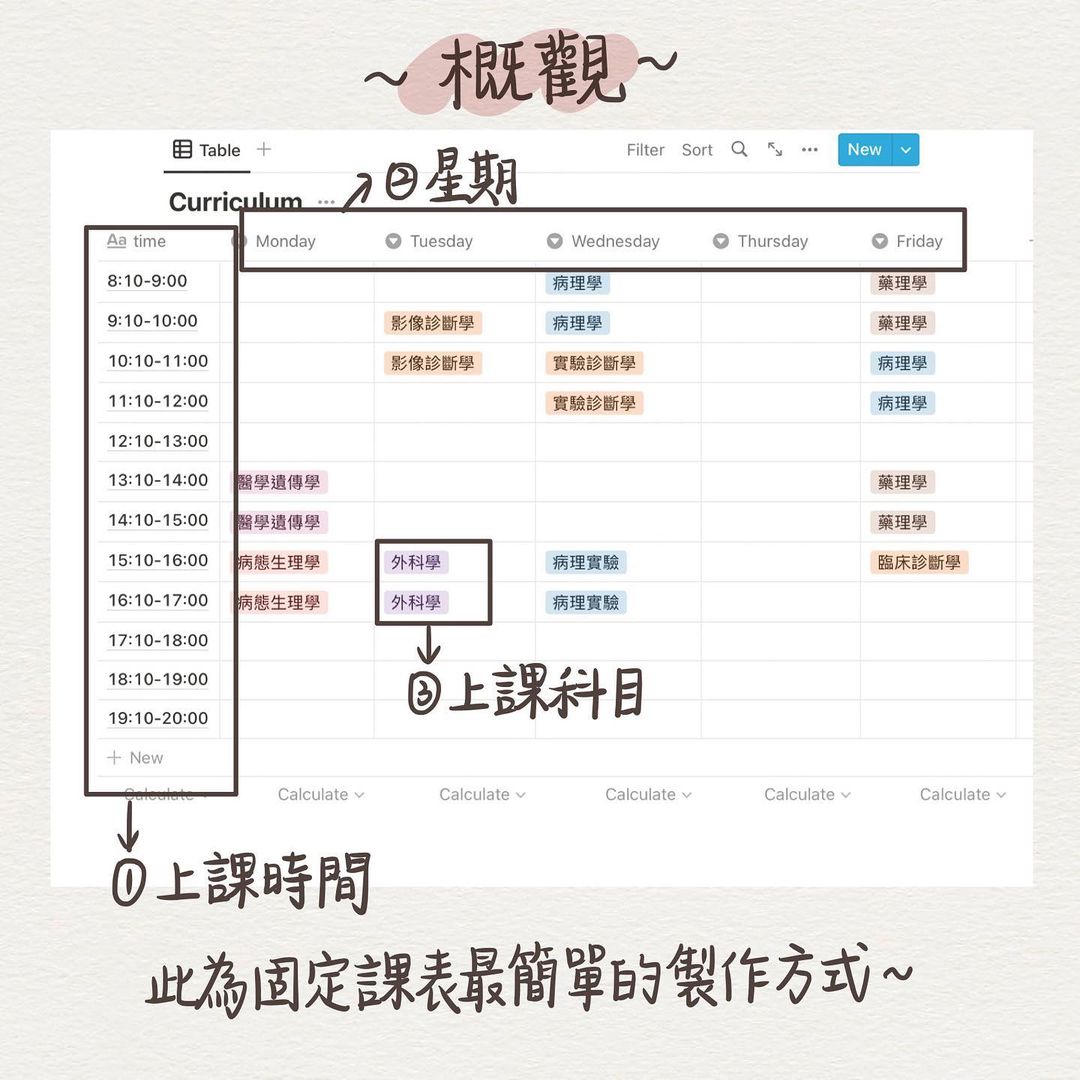 notion課表製作- 課表