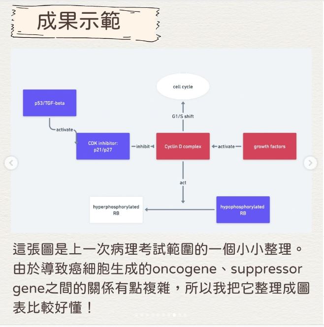 如何在notion導入流程圖-考試