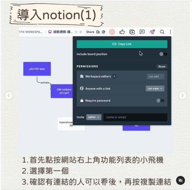 如何在notion導入流程圖-考試