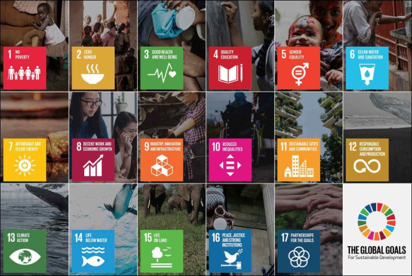 SDGs..~催化反應~誕生了-SDGs